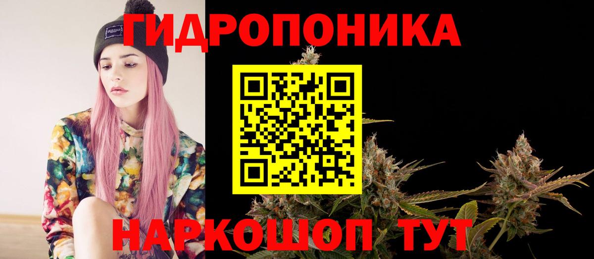 Солнечногорск  Шишки марихуана конопля  Вход с VPN  МАРИХУАНА индика  Марихуана план 